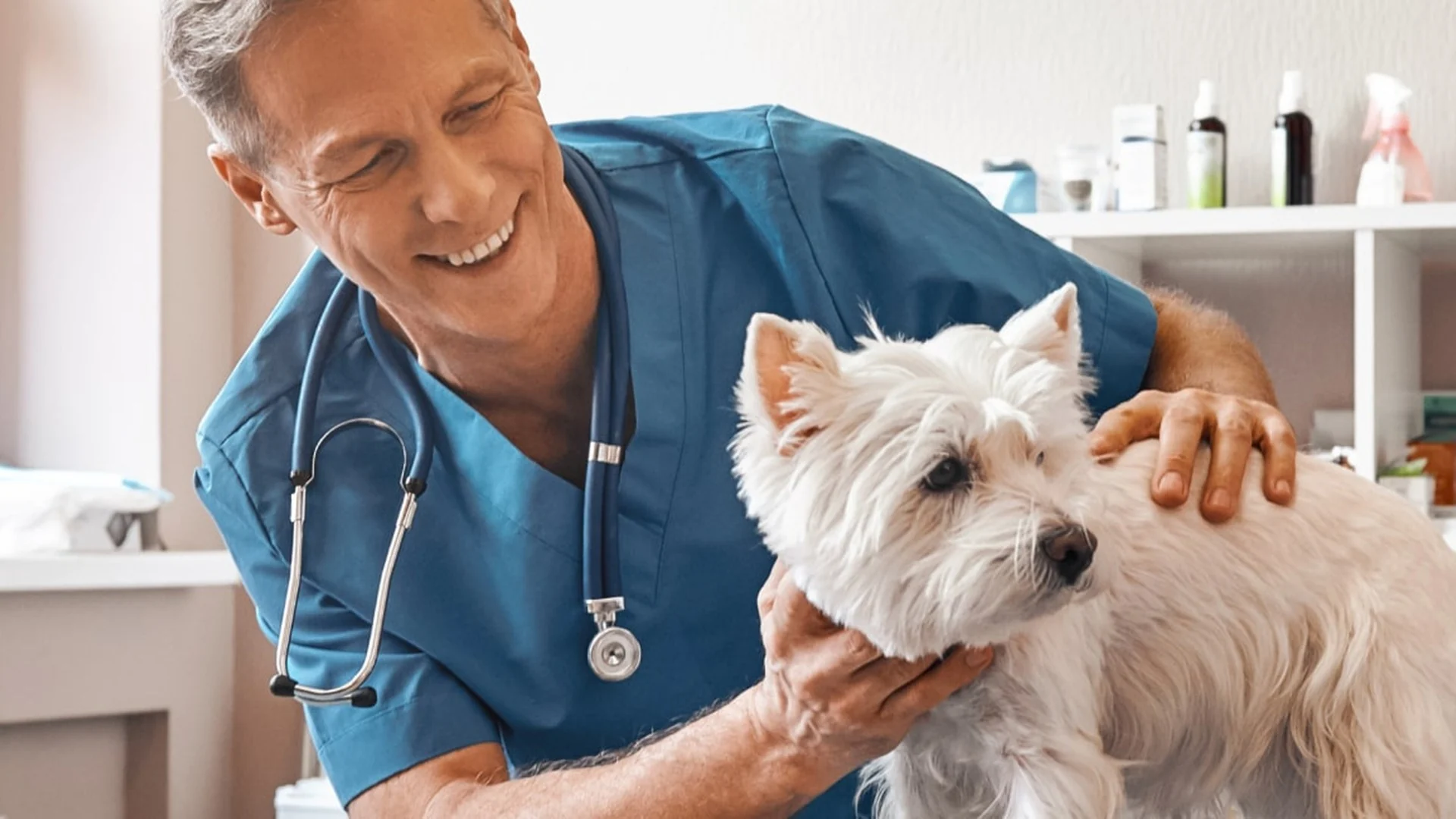 Tiermedizin industry
